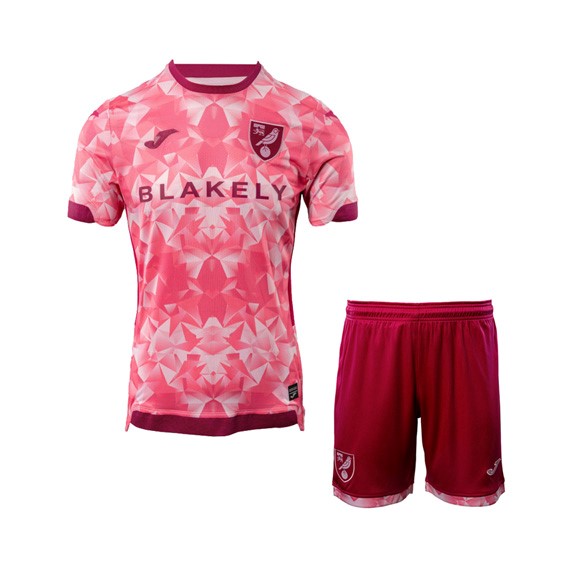 Camiseta Norwich City Segunda equipo Niño 2025-26